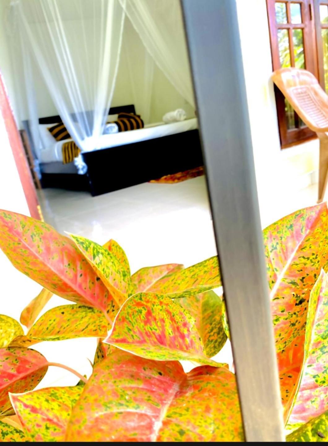 Sadew Home Stay Ella Ngoại thất bức ảnh